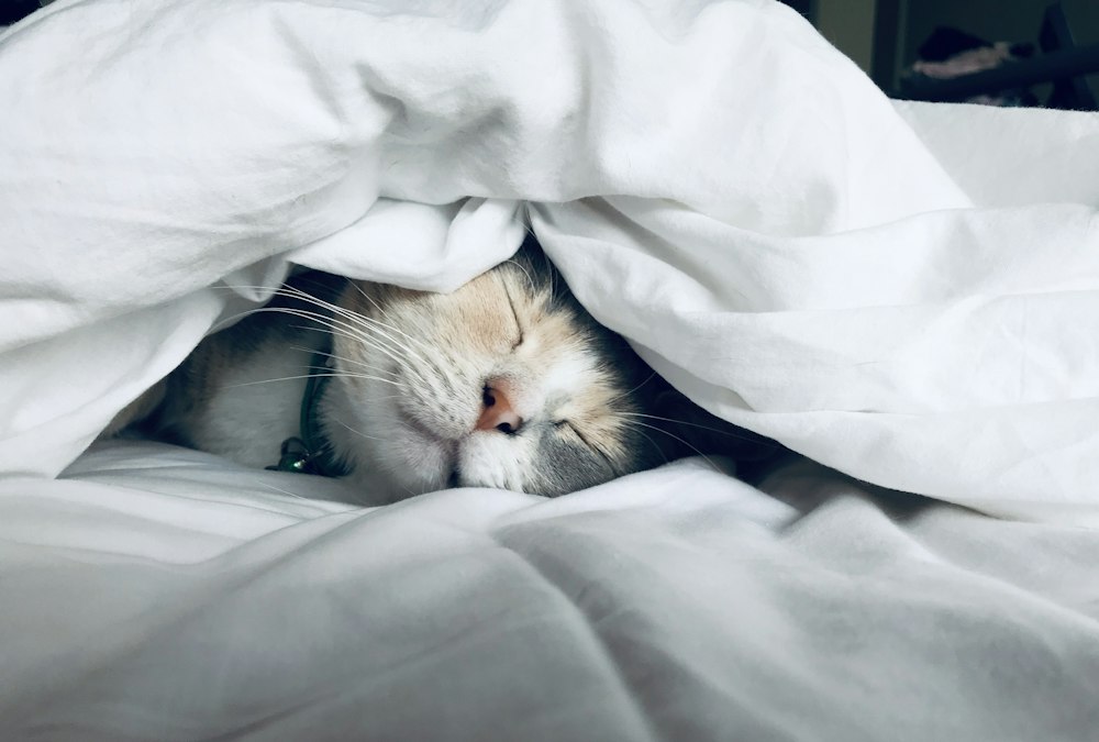 Restful night sleep