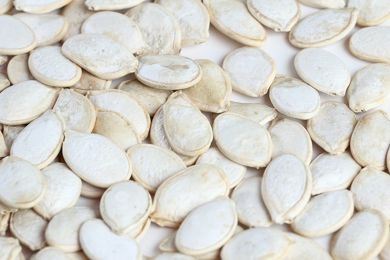 Cucurbita pepo pumpkin seeds rich in natural zinc and phytosterols